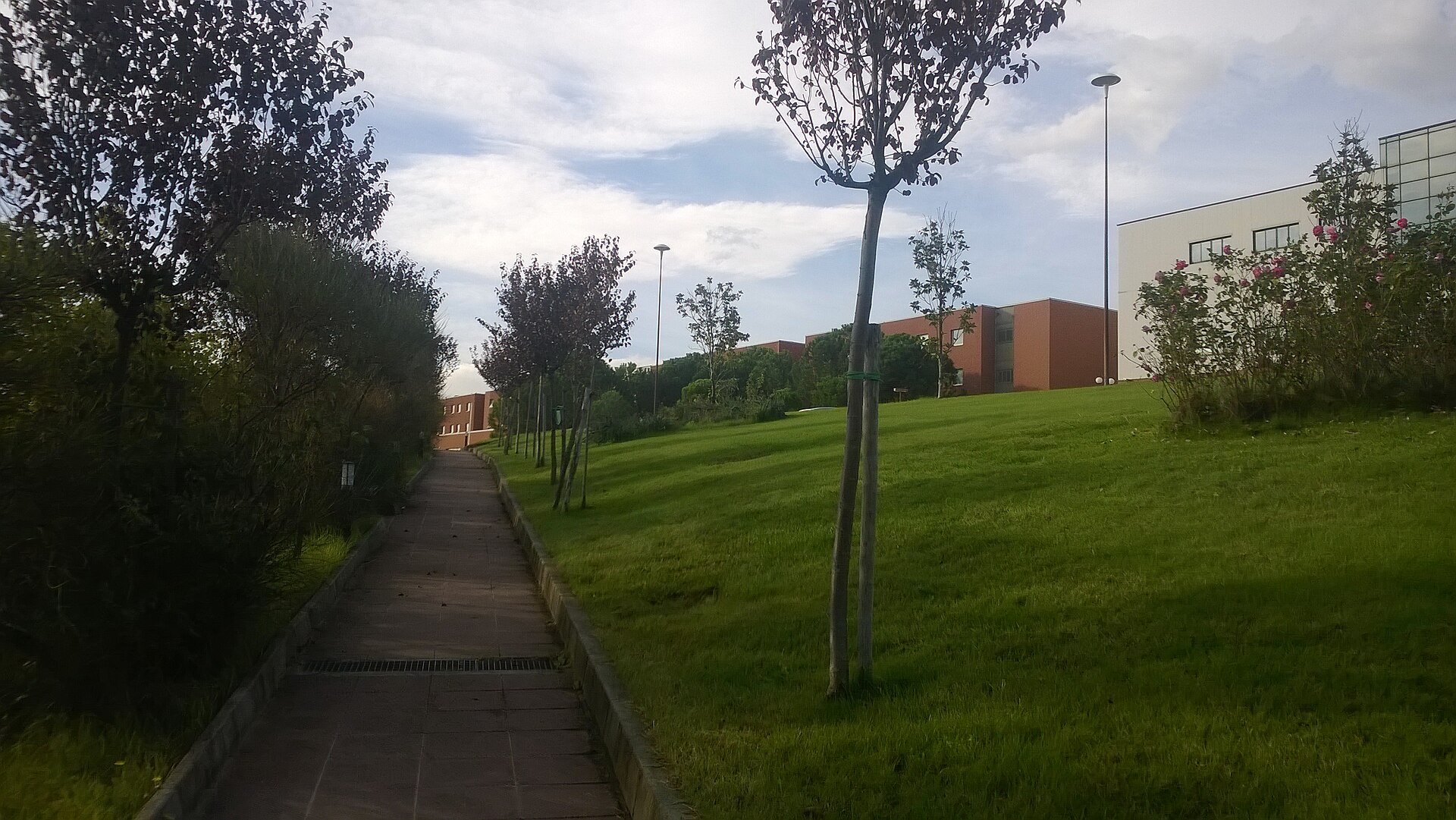 University of Calabria avenue